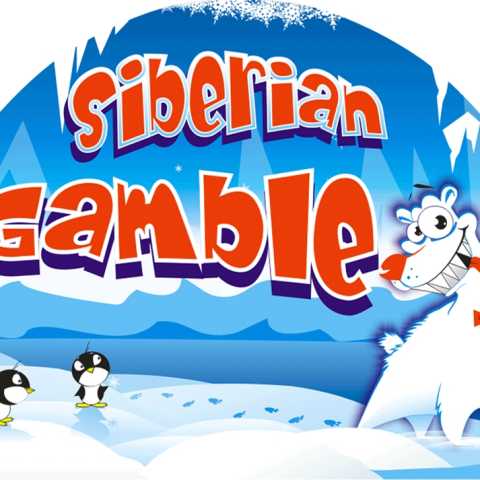 Дикие символы, бонусные игры в «Siberian Gamble»