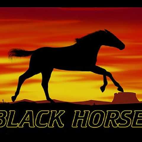 Игровой автомат "Black Horse"