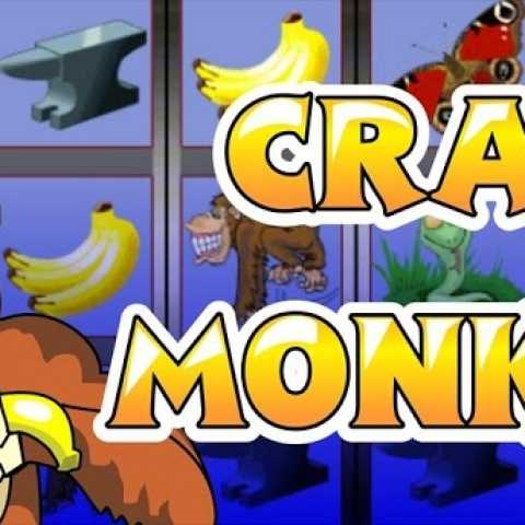 Как обыграть слот "Crazy Monkey"? Легко!