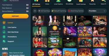 Roku Casino: Игровые автоматы