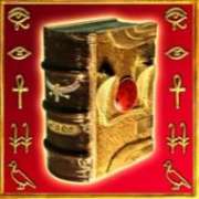 Символ Wild/Scatter в Book of Ra Magic