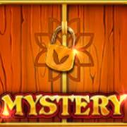 24 Coins: Mystery