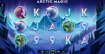 Arctic Magic: Игровой автомат Arctic Magic