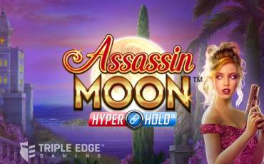 Игровой автомат Assassin Moon