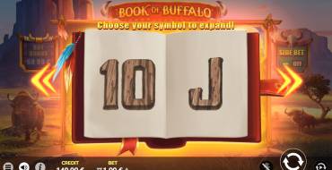 Book of Buffalo: Уникальные функции