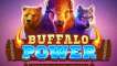 Buffalo Power: Hold and Win