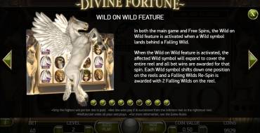 Divine Fortune: Бонусы