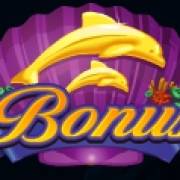 Dolphin Quest: Bonus