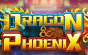 Dragon vs Phoenix (демо-версия)