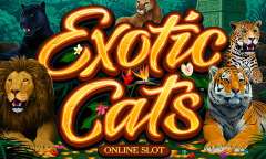 Онлайн слот Exotic Cats играть