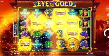 Eye of Gold: Интерфейс