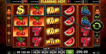 Flaming Hot: Выигрыши