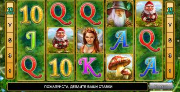 Fortune Spells: Картинки