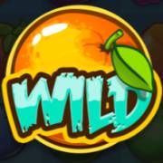 Hop N Pop: Wild