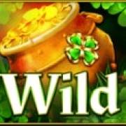 Irish Cheers: Wild