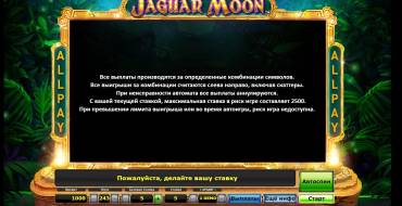 Jaguar Moon: Правила игры