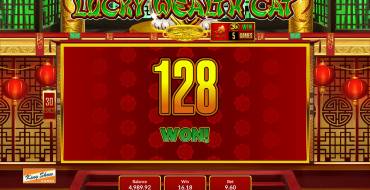 Lucky Wealth Cat: Выигрыши