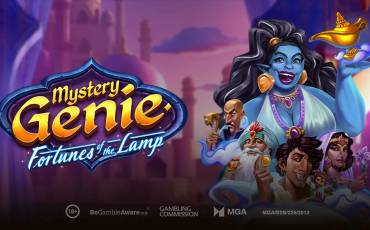 Игровой автомат Mystery Genie Fortunes of the Lamp