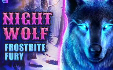 Игровой автомат Night Wolf — Frostbite Fury