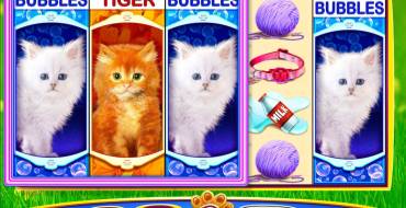 OMG! Kittens: Выигрыши