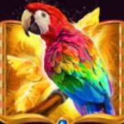 Rio Stars: Parrot