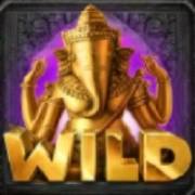 Secrets of the Temple 2: Wild