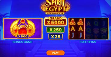 Spirit of Egypt: Hold and Win: Уникальные функции