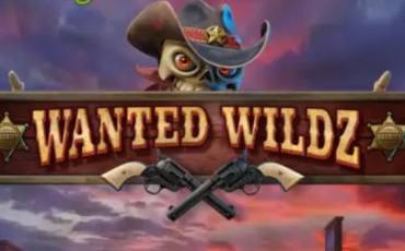 Игровой автомат Wanted Wildz