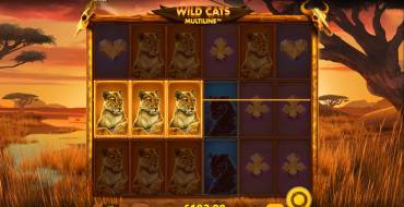 Wild Cats Multiline: Выплаты