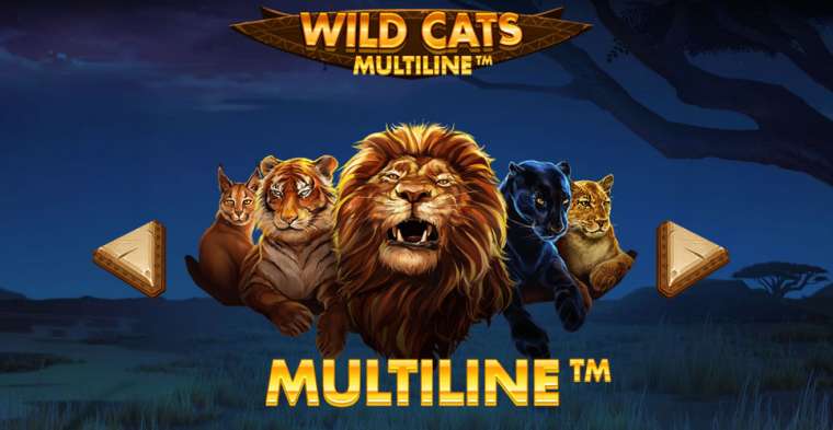 Онлайн слот Wild Cats Multiline играть