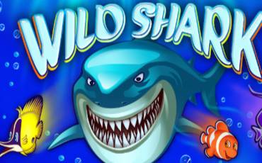 Wild Shark