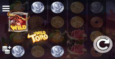 Wild Toro: Выплаты