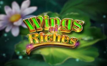 Игровой автомат Wings of Riches