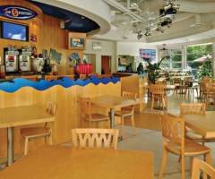 Flamingo Hotel and Casino Las Vegas: Beach Club Bar & Grill