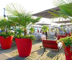 Grand Casino Luzern: Seecafe