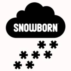 Провайдер Snowborn Games
